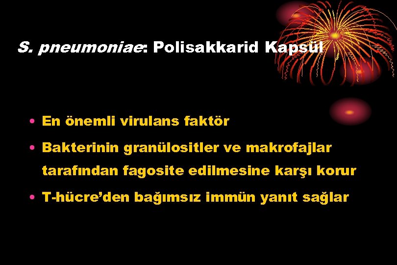 S. pneumoniae: Polisakkarid Kapsül • En önemli virulans faktör • Bakterinin granülositler ve makrofajlar