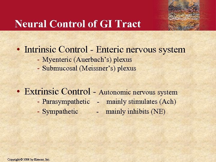Neural Control of GI Tract • Intrinsic Control - Enteric nervous system - Myenteric