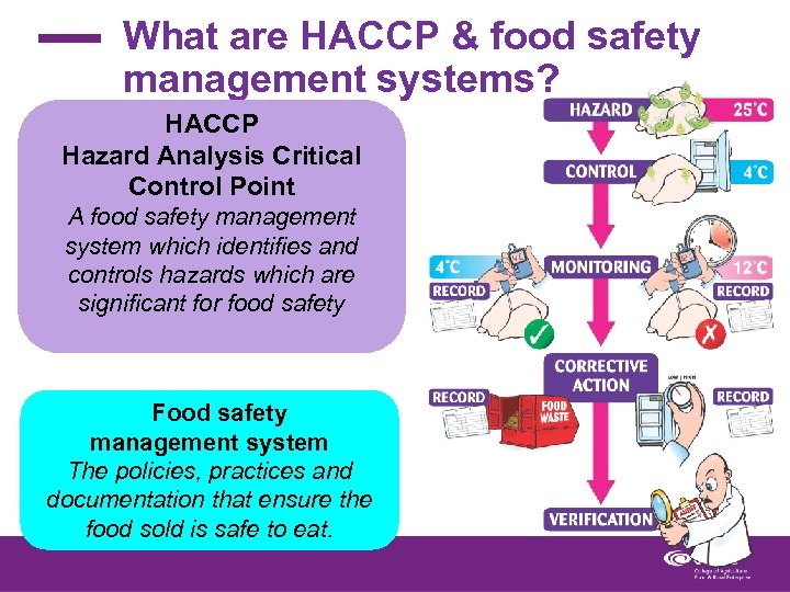 What are HACCP & food safety management systems? HACCP Hazard Analysis Critical Control Point