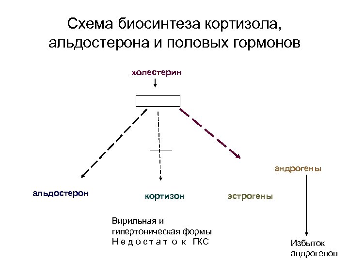 Индекс андрогенов. Схема половых гормонов. Синтез андрогенов схема. Избыток альдостерона и кортизола.