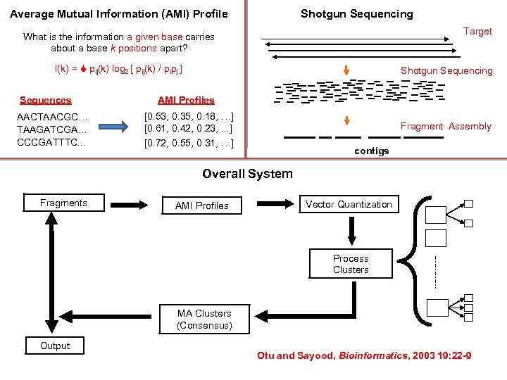 Average Mutual Information (AMI) Profile Shotgun Sequencing Target What is the information a given
