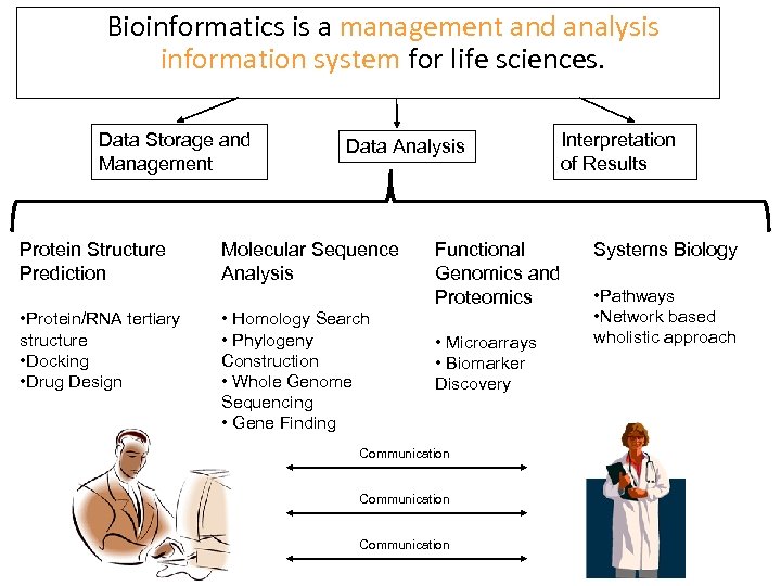 Bioinformatics is a management and analysis information system for life sciences. Data Storage and