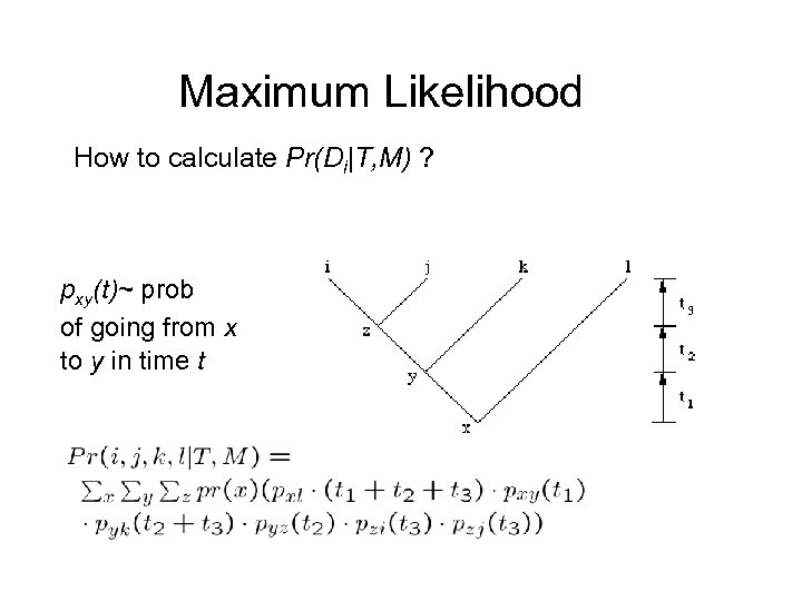 Maximum Likelihood How to calculate Pr(Di|T, M) ? pxy(t)~ prob of going from x