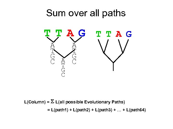 Sum over all paths TTAG A A T T G G C A C