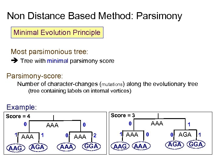 Non Distance Based Method: Parsimony Minimal Evolution Principle Most parsimonious tree: Tree with minimal