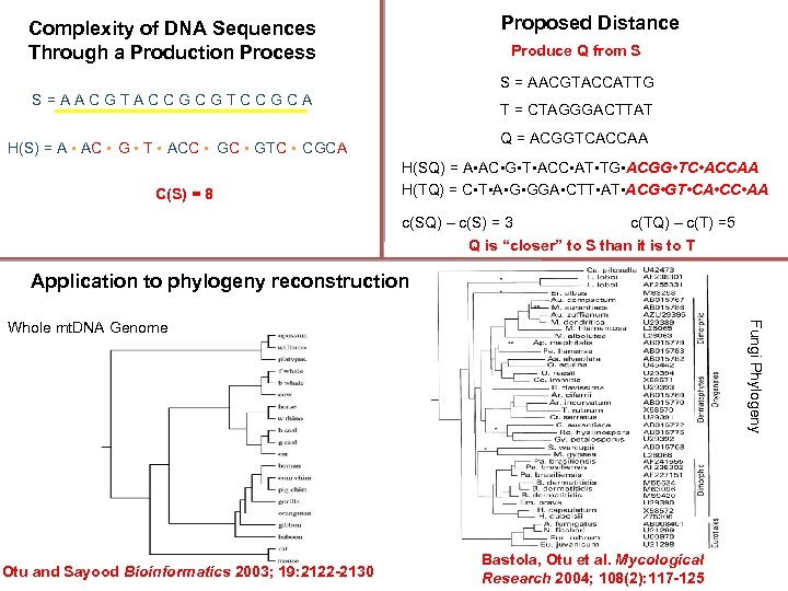 Proposed Distance Complexity of DNA Sequences Through a Production Process Produce Q from S