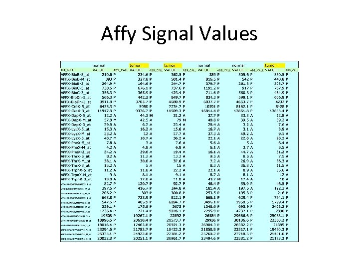 Affy Signal Values 