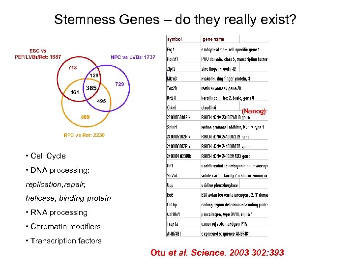 Stemness Genes – do they really exist? (Nanog) • Cell Cycle • DNA processing: