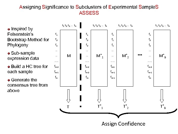 Assigning Significance to Subclusters of Experimental Sample. S ASSESS Inspired by Felsenstein’s Bootstrap Method