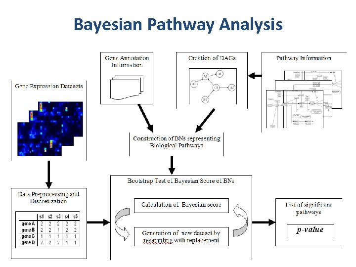 Bayesian Pathway Analysis 