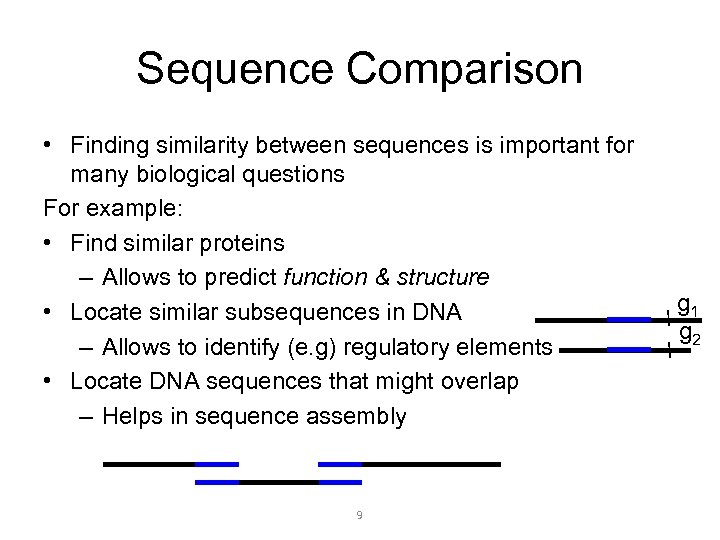 Sequence Comparison • Finding similarity between sequences is important for many biological questions For