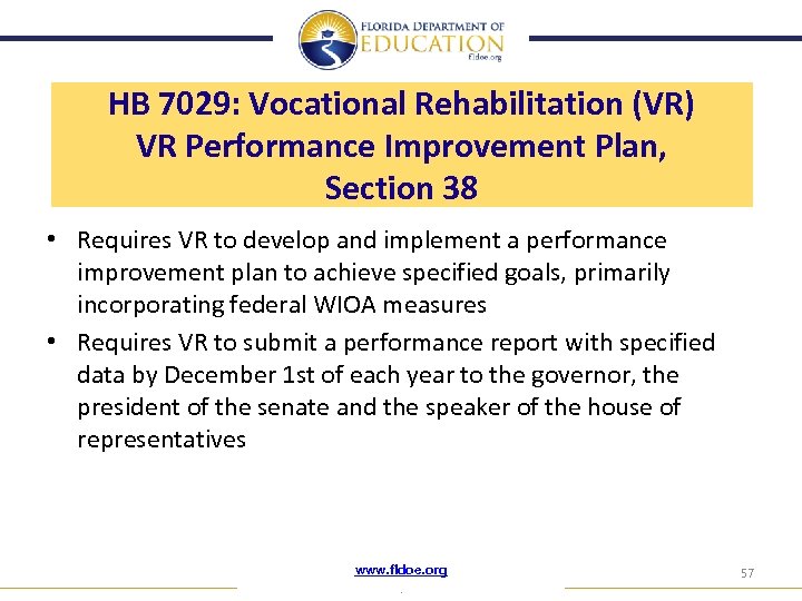HB 7029: Vocational Rehabilitation (VR) VR Performance Improvement Plan, Section 38 • Requires VR