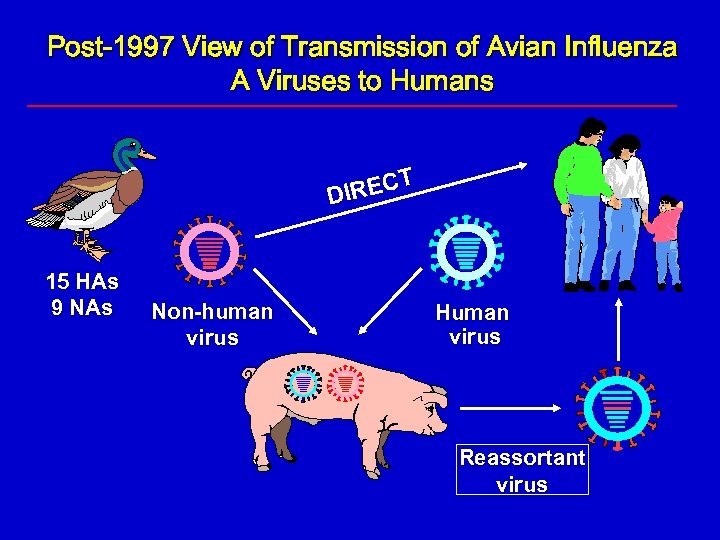 Post-1997 View of Transmission of Avian Influenza A Viruses to Humans T REC DI