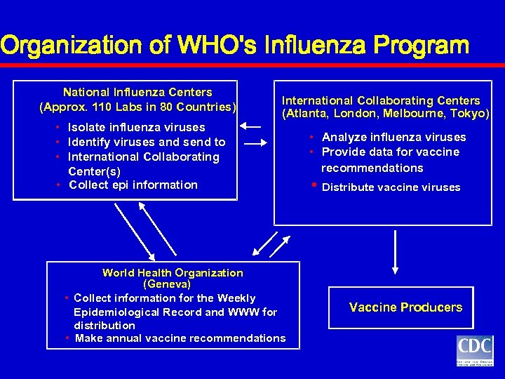 Organization of WHO's Influenza Program National Influenza Centers (Approx. 110 Labs in 80 Countries)