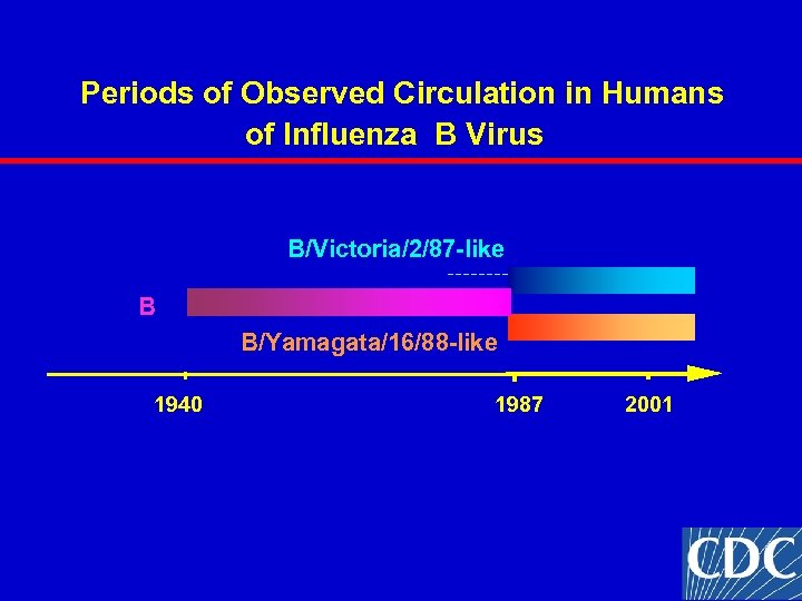 Periods of Observed Circulation in Humans of Influenza B Virus B/Victoria/2/87 -like B B/Yamagata/16/88