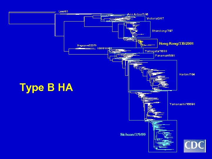 Lee/40 Ann Arbor/1/86 Victoria/2/87 Shandong/7/97 Hong Kong/330/2001 Singapore/222/79 USSR/100/83 Yamagata/16/88 Panama/45/90 Harbin/7/94 Type B