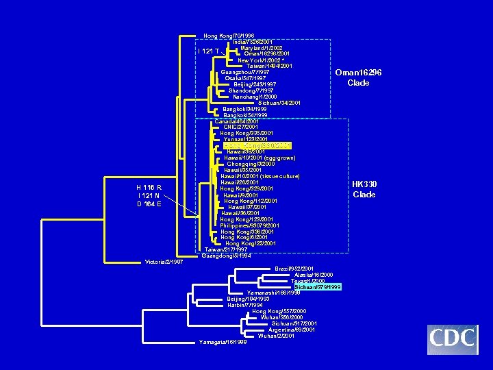 I Hong Kong/70/1996 India/7526/2001 Maryland/1/2002 121 T Oman/16296/2001 New York/1/2002 * Taiwan/1484/2001 Guangzhou/7/1997 Osaka/547/1997
