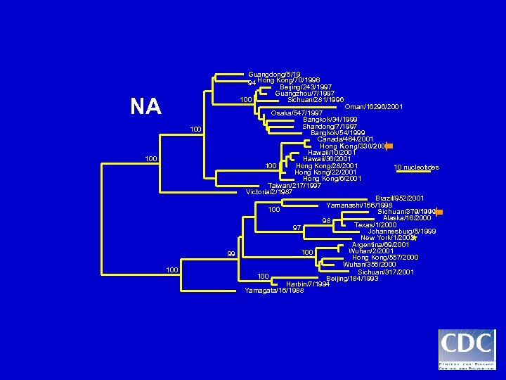 Guangdong/5/19 94 Hong Kong/70/1996 Beijing/243/1997 Guangzhou/7/1997 100 Sichuan/281/1996 NA 100 99 100 Oman/16296/2001 Osaka/547/1997