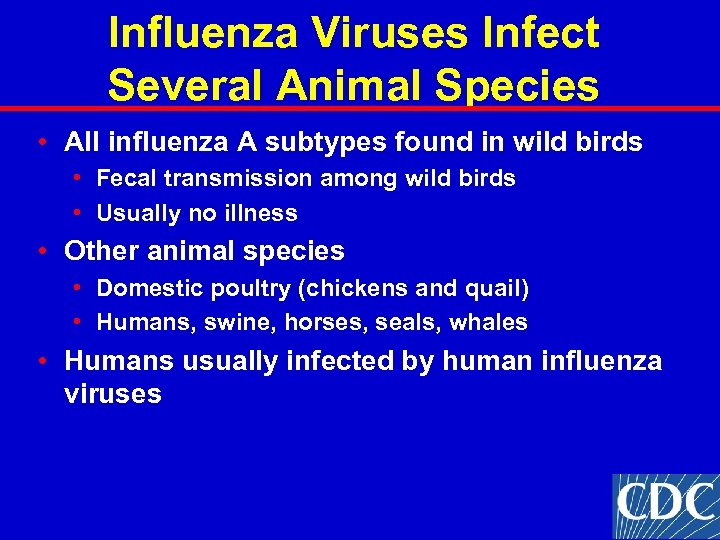 Influenza Viruses Infect Several Animal Species • All influenza A subtypes found in wild