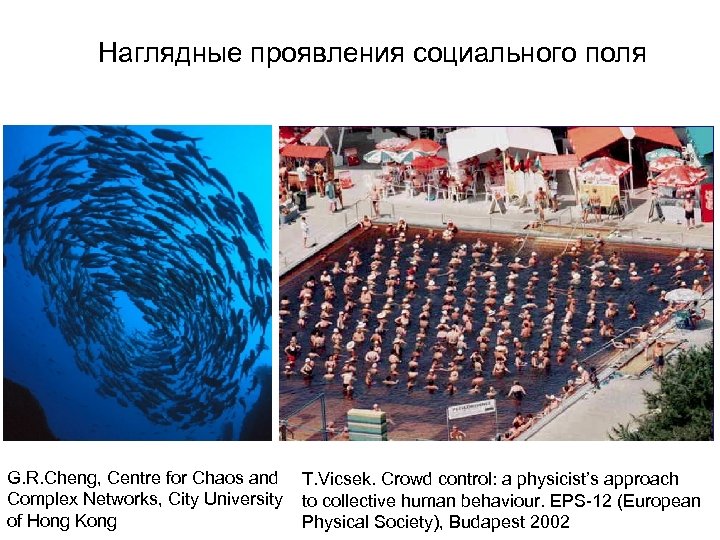 Наглядные проявления социального поля G. R. Cheng, Centre for Chaos and Complex Networks, City