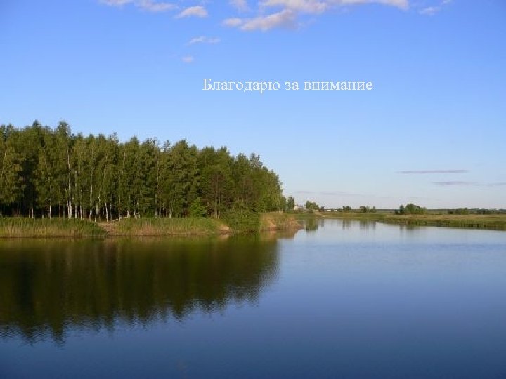 Благодарю за внимание 