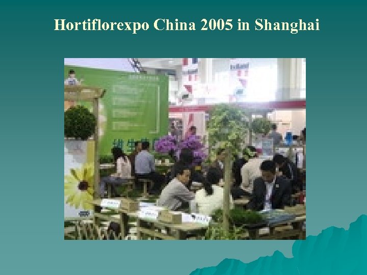 Hortiflorexpo China 2005 in Shanghai 