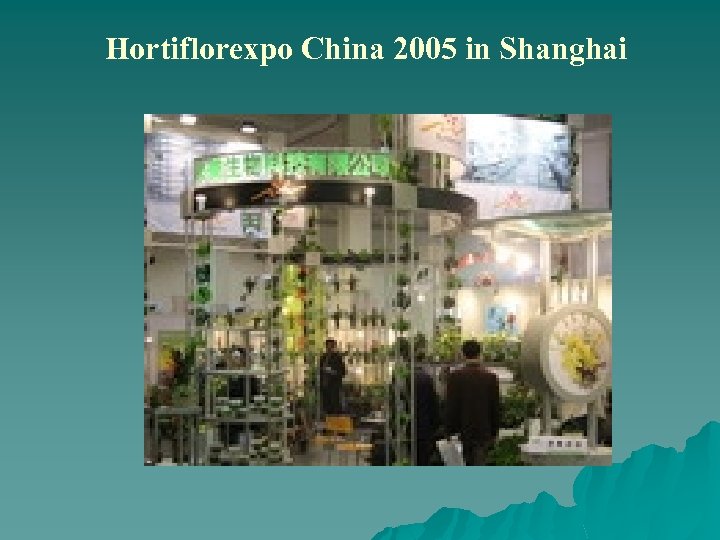 Hortiflorexpo China 2005 in Shanghai 