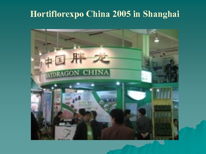 Hortiflorexpo China 2005 in Shanghai 