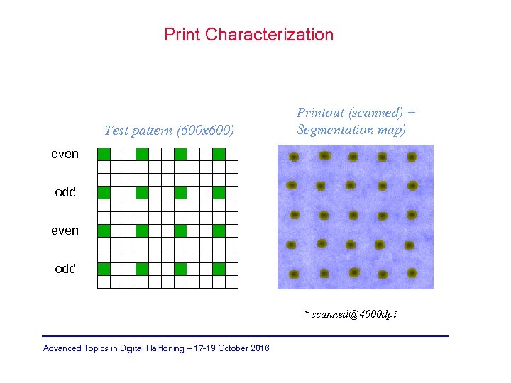 Print Characterization Test pattern (600 x 600) Printout (scanned) + Segmentation map) even odd