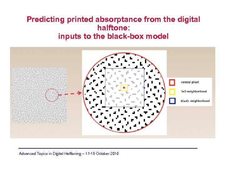 Predicting printed absorptance from the digital halftone: inputs to the black-box model Advanced Topics