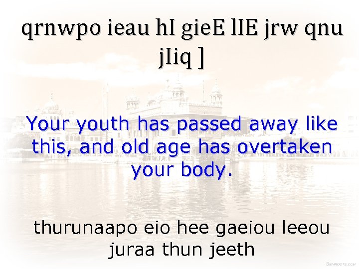 qrnwpo ieau h. I gie. E l. IE jrw qnu j. Iiq ] Your