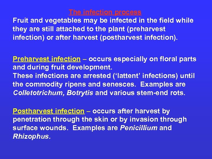 The infection process Fruit and vegetables may be infected in the field while they