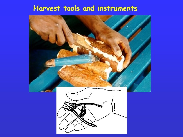Harvest tools and instruments 