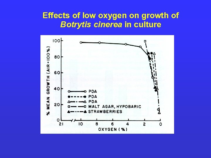 Effects of low oxygen on growth of Botrytis cinerea in culture 
