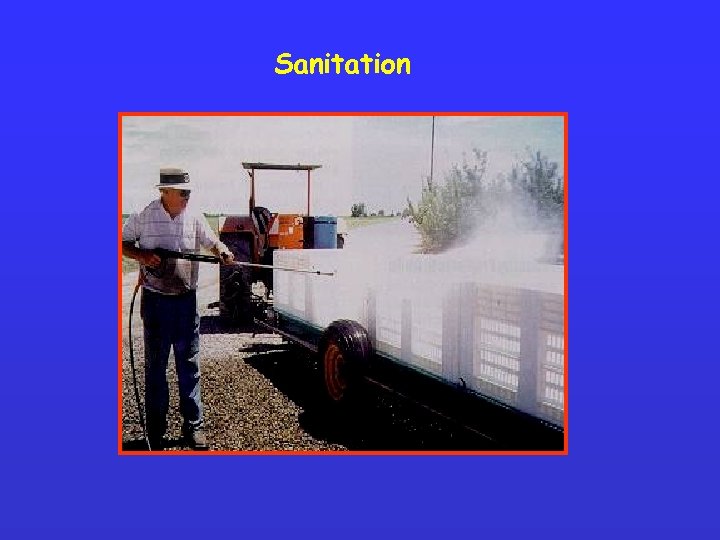 Sanitation 