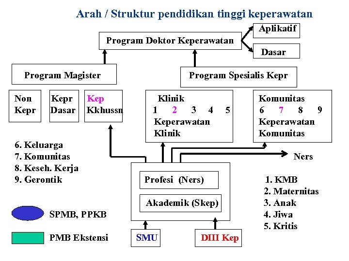 Arah / Struktur pendidikan tinggi keperawatan Aplikatif Program Doktor Keperawatan Dasar Program Magister Non