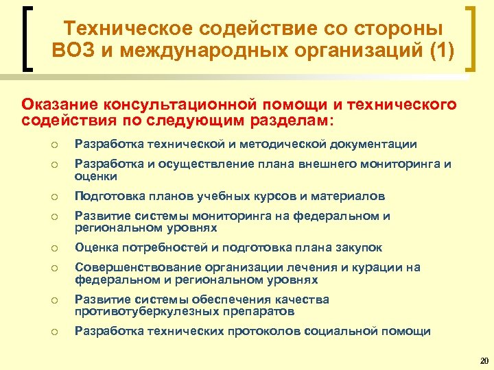 Техническое содействие со стороны ВОЗ и международных организаций (1) Оказание консультационной помощи и технического