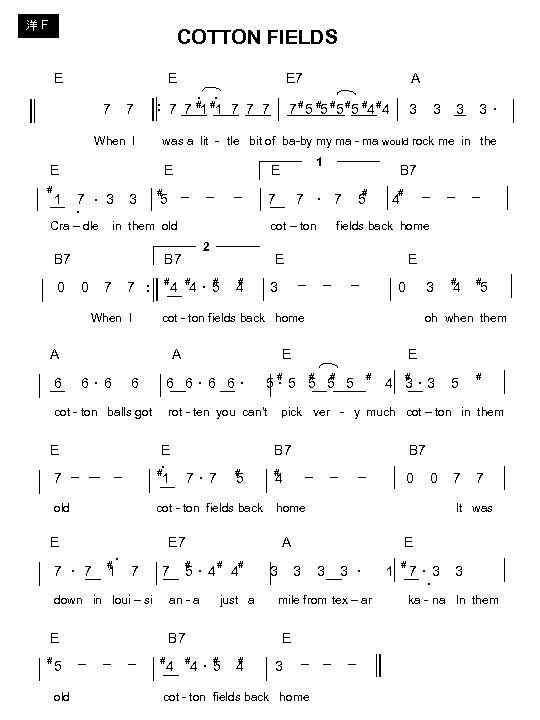 洋 F COTTON FIELDS E E 7 A ‧ ‧ # # # #