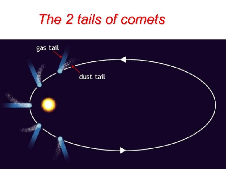 The 2 tails of comets • • Halley West (1973), Bennett (1970) Hale-Bopp (1986),