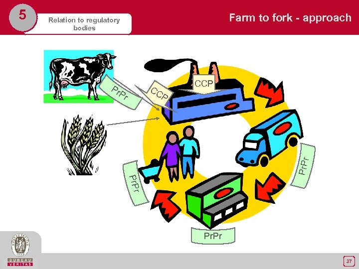 Farm to fork - approach Relation to regulatory bodies Pr CCP CC Pr P