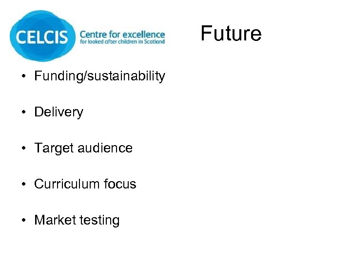 Future • Funding/sustainability • Delivery • Target audience • Curriculum focus • Market testing