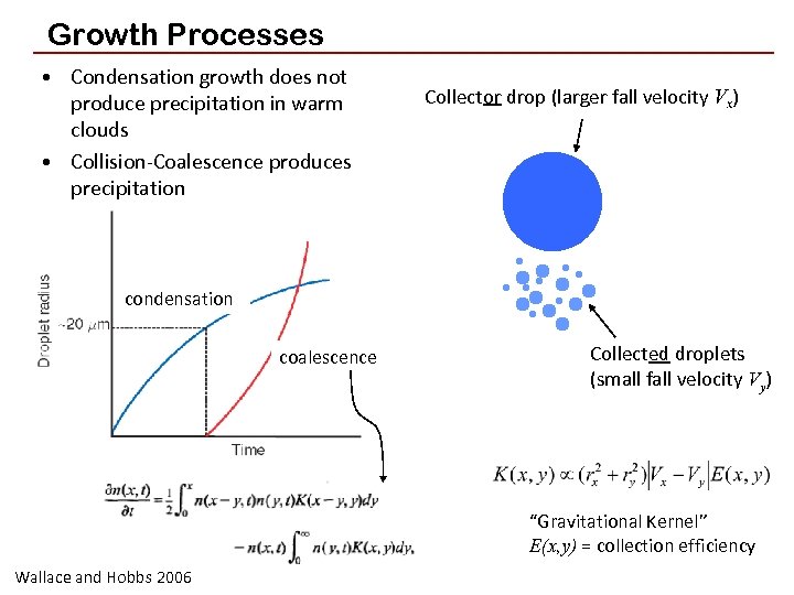 Growth Processes • Condensation growth does not produce precipitation in warm clouds • Collision-Coalescence