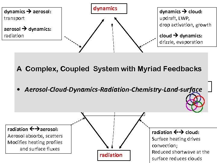 dynamics aerosol: transport dynamics aerosol dynamics: radiation dynamics cloud: updraft, LWP, drop activation, growth