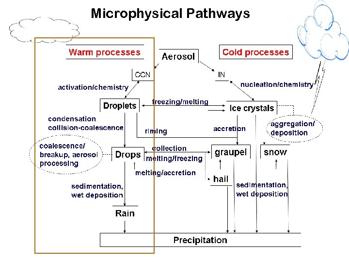 Microphysical Pathways 