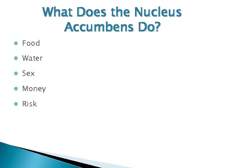What Does the Nucleus Accumbens Do? ● Food ● Water ● Sex ● Money
