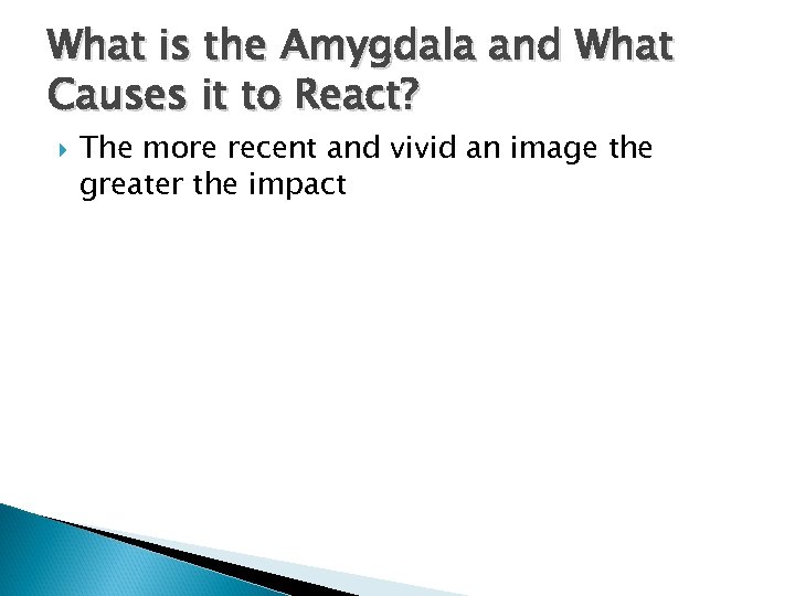 What is the Amygdala and What Causes it to React? The more recent and