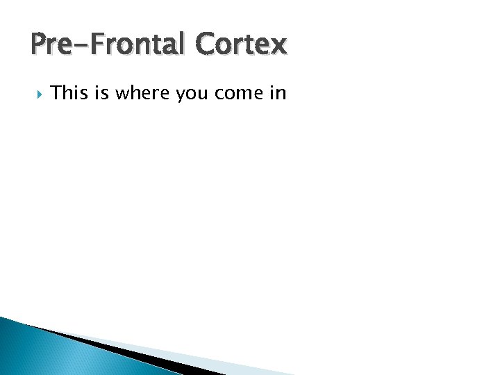 Pre-Frontal Cortex This is where you come in 