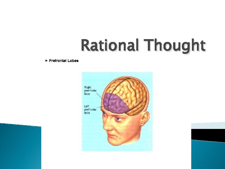 Rational Thought 