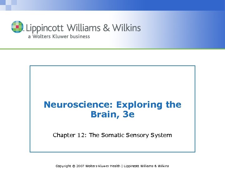 Neuroscience: Exploring the Brain, 3 e Chapter 12: The Somatic Sensory System Copyright ©