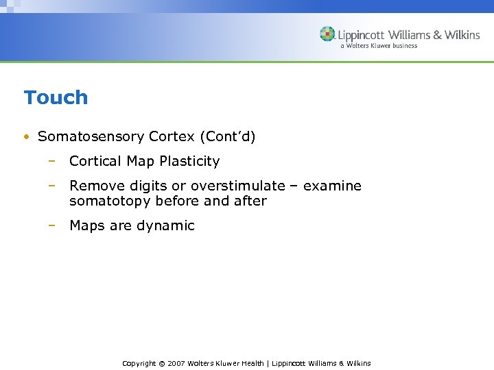 Touch • Somatosensory Cortex (Cont’d) – Cortical Map Plasticity – Remove digits or overstimulate